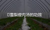 ​雪梨瘦肉汤的功效