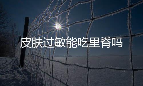 皮肤过敏能吃里脊吗