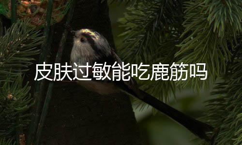 皮肤过敏能吃鹿筋吗