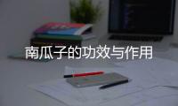 南瓜子的功效与作用