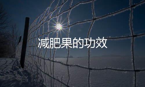 减肥果的功效