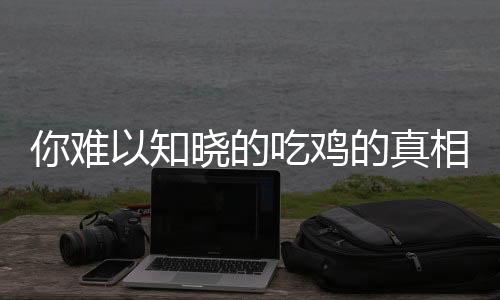 你难以知晓的吃鸡的真相