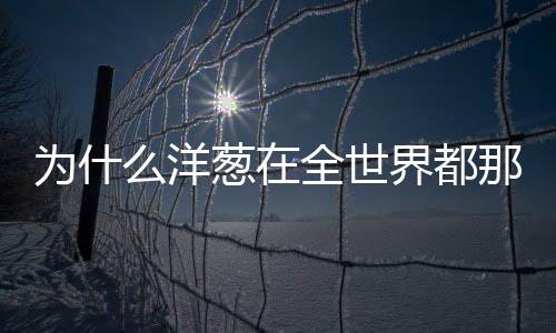 为什么洋葱在全世界都那么受欢迎