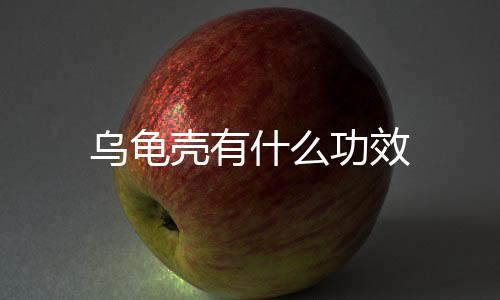 乌龟壳有什么功效