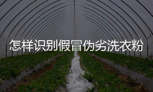 怎样识别假冒伪劣洗衣粉