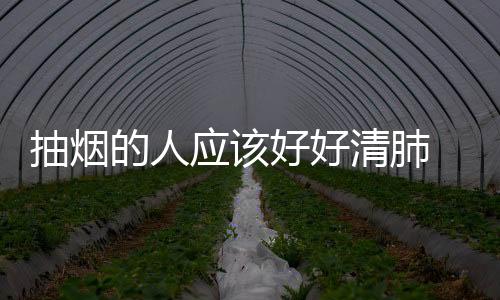 抽烟的人应该好好清肺 日常清肺食谱给肺排排毒