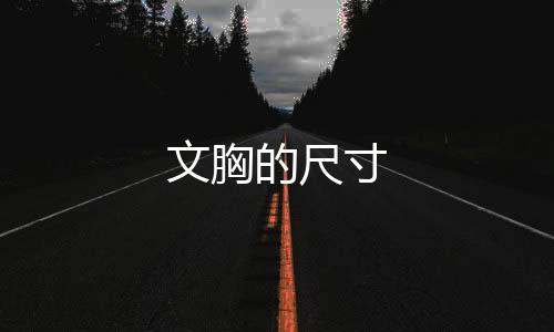 文胸的尺寸