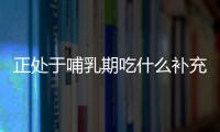 正处于哺乳期吃什么补充营养？