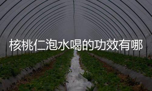 核桃仁泡水喝的功效有哪些呢