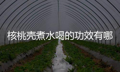 核桃壳煮水喝的功效有哪些？