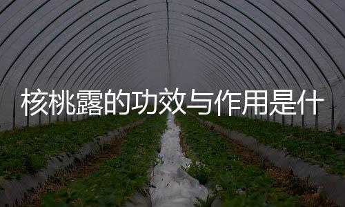 核桃露的功效与作用是什么呢