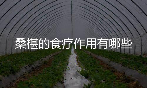 桑椹的食疗作用有哪些