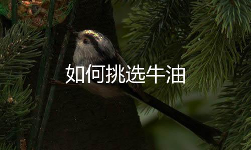 如何挑选牛油