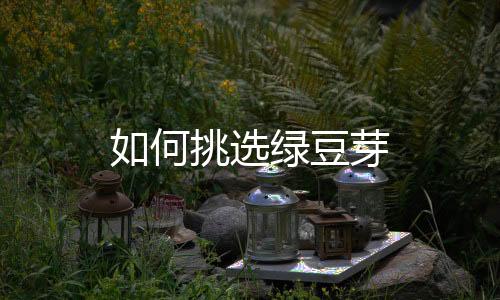 如何挑选绿豆芽