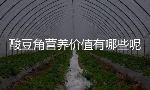 酸豆角营养价值有哪些呢