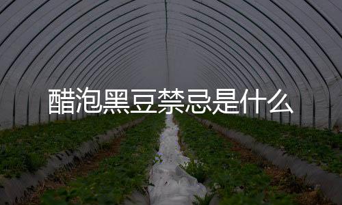 醋泡黑豆禁忌是什么