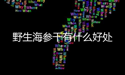 野生海参干有什么好处