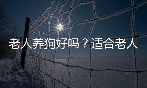 老人养狗好吗？适合老人养的类型