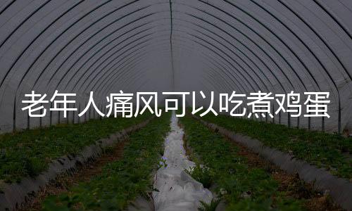 老年人痛风可以吃煮鸡蛋吗