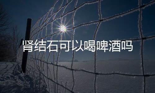 肾结石可以喝啤酒吗