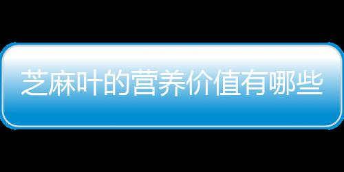 芝麻叶的营养价值有哪些