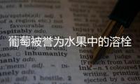 葡萄被誉为水果中的溶栓之王 不同品种功效大不相同