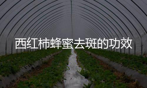 西红柿蜂蜜去斑的功效