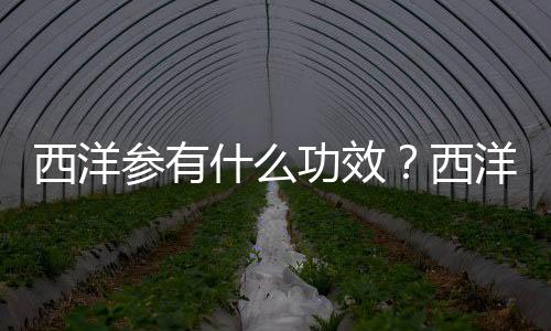 西洋参有什么功效？西洋参怎么吃效果最好？