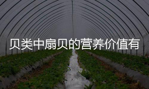 贝类中扇贝的营养价值有哪些？