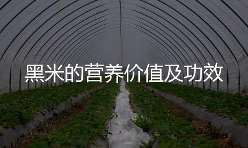 黑米的营养价值及功效