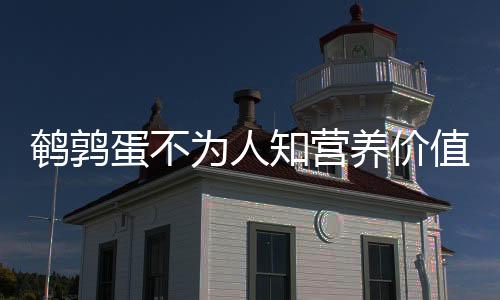 鹌鹑蛋不为人知营养价值